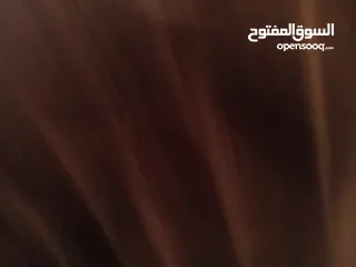  1 مطلوب بيت لاجار  في زرقاء مخيم حطين
