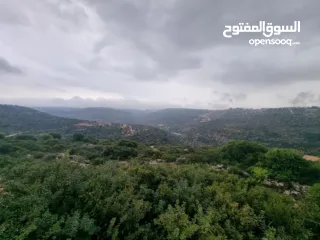  1 دونم ارض في كفر عين مرتفع باطلالة غربية ساحرة  (مشروع طابو)