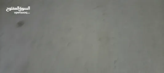  1 خبز ناشف للمواشي