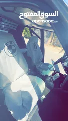  12 بي ام بوز نمر للبيع