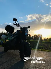  5 هوندا نافي موديل 2022