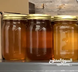  1 عسل اصلي 100%