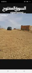  28 ارض زراعية للبيع  .. قطعه زراعية .   محافظة مادبا . ذيبان . مليح . حوض العلاقي . مساحة اربع دنمات