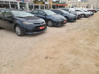  6 سيارات للايجار اليومي  كرولا . هيونداي .  كيا سبرتاج