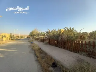  5 ارض للبيع من المالك مباشرة