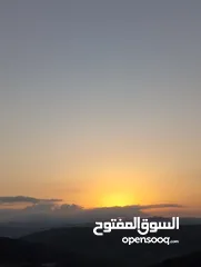  1 ارض للبيع في بيرزيت متوفر لها جميع الخدمات على شارع زفته مساحه 1244 متر مربع كوشان طابو تنازل مباشر