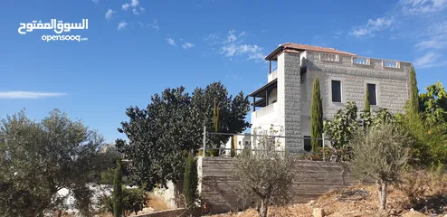  15 منزل مستقل