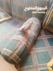  24 ببغاء كوكتيل اليف جدنننننن