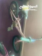  2 بسكليت عدد 2