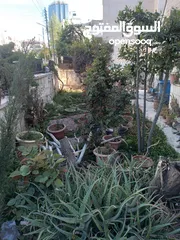  4 فيلا دوبلكس للبيع في ام اذينة الغربي ref : 14351