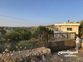  5 مزرعه للبيع / عجلون / رأس منيف