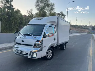  8 بكم كيا بنقو تبريد وتجميد