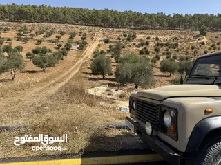  1 ارض للبيع نادرة