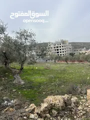  3 ارض في قرية صره للبيع
