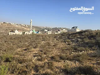  1 ارض مربعه الشكل اطلاله جميله تصلح لبناء فيله وللأساثمار