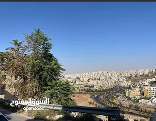  35 طابق ارضي 250 م +160 حديقه و ترس عبدون بقرب سفاره اوكرانيا و تاج مول تشطيبات فندقي فخمه حديثه