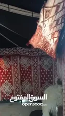  4 خيمه سعوديه شعر اسود وليس كتان