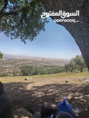  2 مطلوب ارض للشراء زينات الربوع