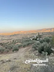  4 ارض مرتفعه للبيع