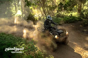  10 Kawasaki BRUTE FORCE 300