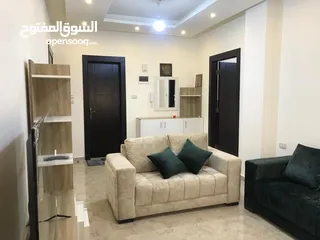  1 شقة راقية مفروشة للإيجار مقابل البوابة الشمالية - Modern furnished apartment for rent