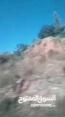  13 ابو قش ارض للبيع  930 متر اطلاله مميزه