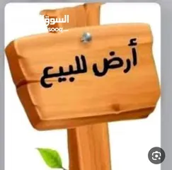  1 للبيع في السلط كفرهودا  150دونم يوجد خدمات في القطعه مطله عالغرب في شارع
