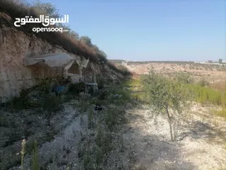  2 قطعة ارض للبيع 5,300  فيها 80 زيتون وفيها 80شجر مشكل مثل لوز كرز خوخو وفيها 30 دوالي العمر 3سنين
