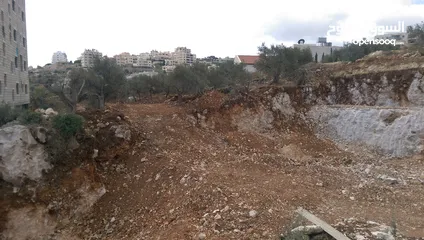  1 أبو رجائي جقمان