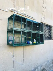  2 مطير عصافير كبير للبيع