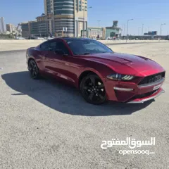  2 Ford Mustang EcoBoost 2021