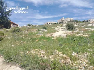  9 دنم و 44 م مقابل مضافة الدرادكة دنم ب القمة عالي