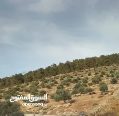  5 ارض مميزه لليع