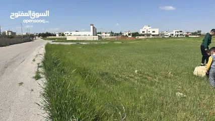  1 قطعة أرض للبيع الطنيب