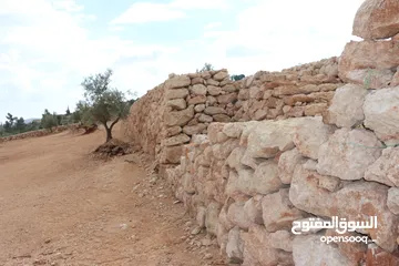  11 قطعة ارض للبيع مواصفات عالية جدا .المفرق-حدود جرش-قرية نادرة-حوض الطوشة