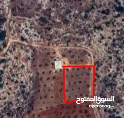  1 قطعة ارض للبيع في جنين