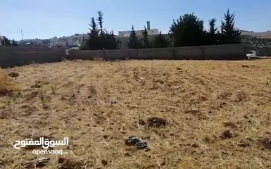  5 أرض مميزه جدا للبيع بشفا بدران بسعر ممتااااز