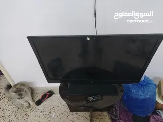  1 شاشه شارب نظيفه