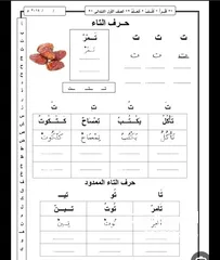  5 مدرس أردني لتأسيس الطلاب في اللغة العربية قراءة وكتابة