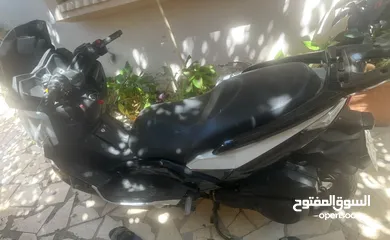  3 فسبة قانوني ضفه 2023 ماطور 150 ماشيه 13 الف