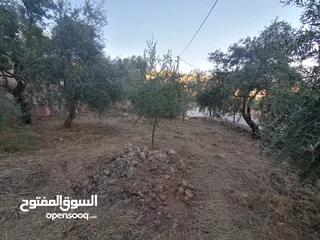  26 بيت ريفي للبيع في جرش - ثغرة عصفور