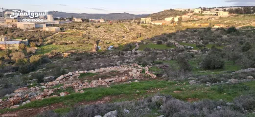  30 800متر طابوا فلسطيني في اجمل موقع بالكفريات واطلالة مميزةمنطقة( b)صالحة للبناء