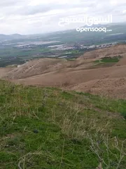  2 10 دونم شفا غوري من المالك