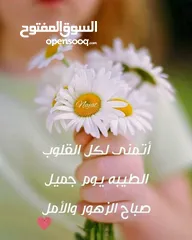  4 مطلوب شقة لعائلة صغيرة ولا يوجد اطفال