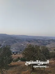  13 10 دنمات بأجمل اطلالة خلابة على سد الملك طلال