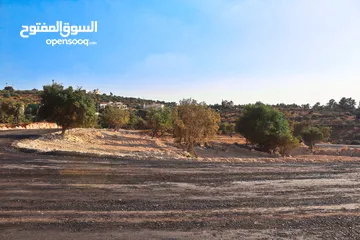  8 الأردن-عمان الغربيه - بدرالجديدة -الكاشف ارض مميزه للبيع 1200م باطلاله غربيه عاليه وجميله جدا