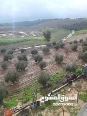  3 مزرعه خمس دونمات للبيع
