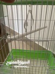  3 إعلان بيع بيت عصفور واسع ومجهّز بالكامل!  فقط مع جميع المستلزمات ومع بيت خشبي للشتاء