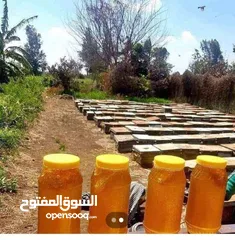  25 منتجات عطاره