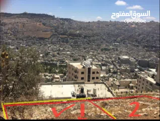 1 قطعة ارض في اجمل مواقع نابلس